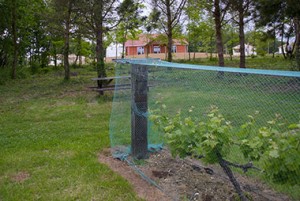 Vigne et bois privé